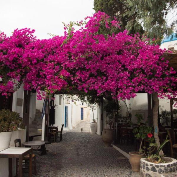 Villa Orpheus Santorini Megalohóri Kültér fotó